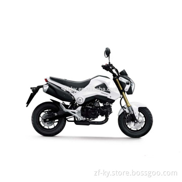 MSX125 kids mini dirt bike 110cc/125cc engine, kids pit bike, mini monkey